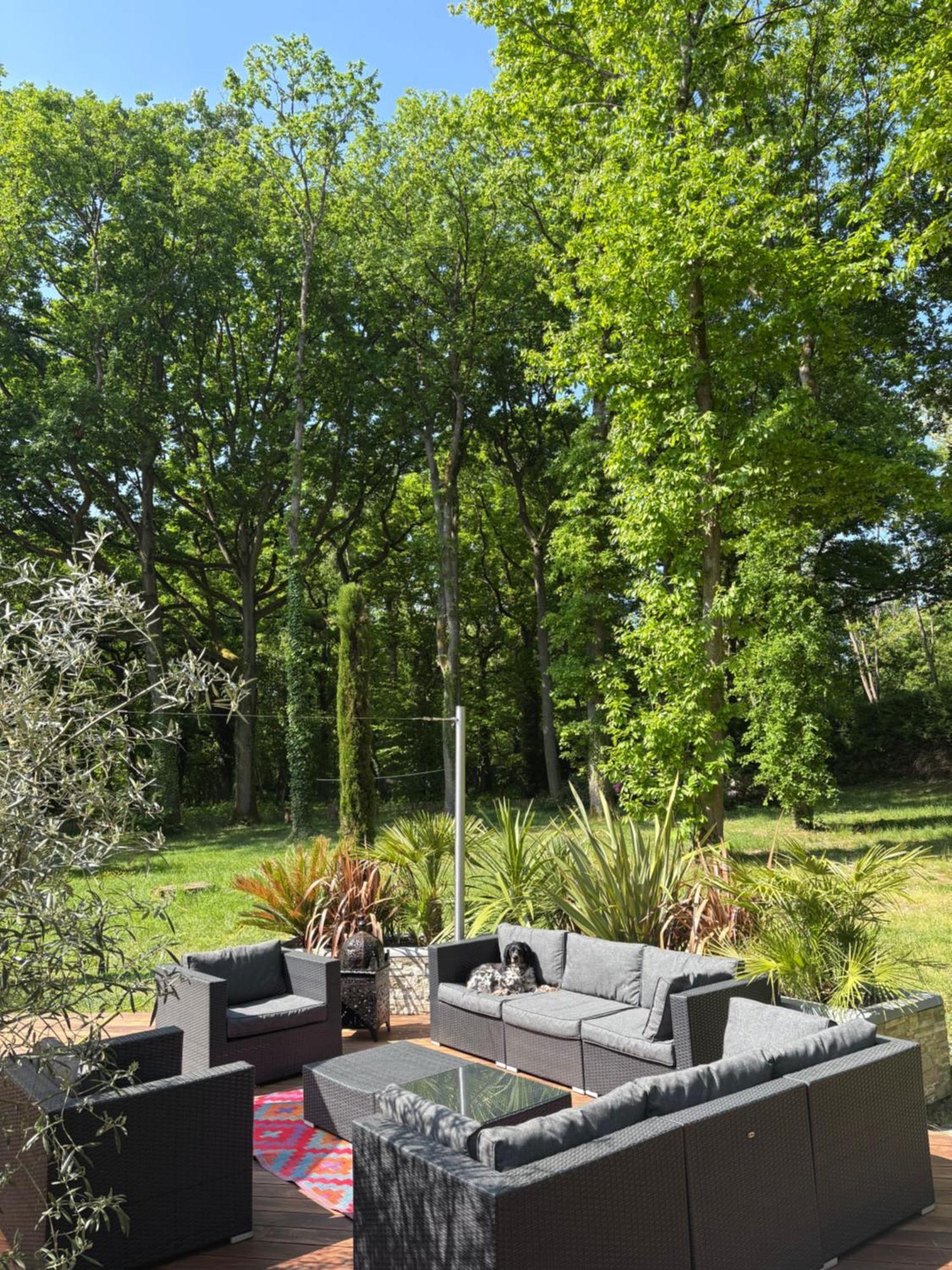Somptueuse Villa D'Architecte Rochefort-en-Yvelines Eksteriør billede